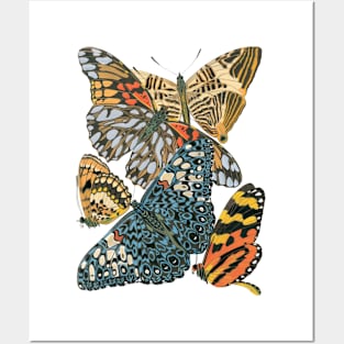 Butterflies by Emile Allain Séguy Posters and Art